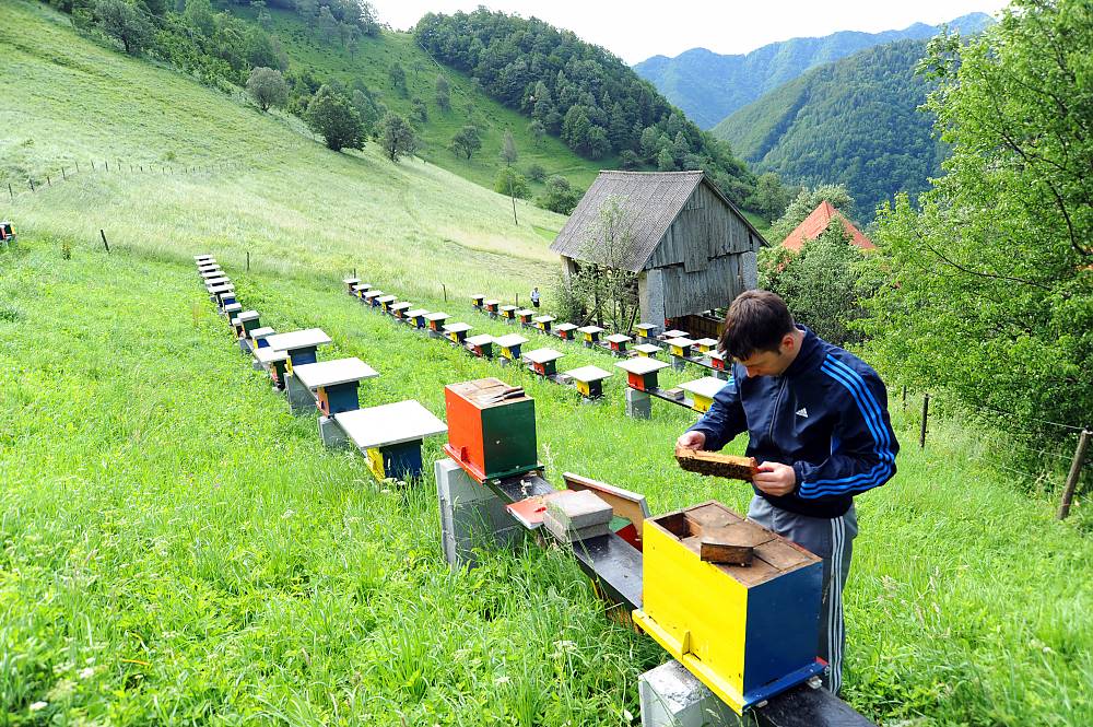UNESCO - Čebelarstvo v Sloveniji, način življenja