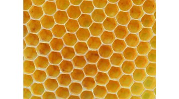 Izkoristite od 60% in večji delež sofinanciranja pri nakupu čebelarske opreme
